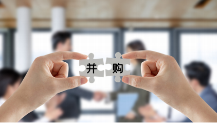 2025年行业并购呈现交易减少但规模扩大的趋势