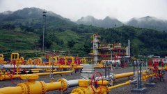 /youqizixun/3128.html